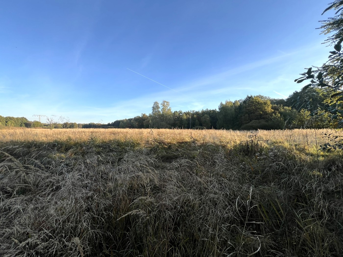 Blick über die Wiesen