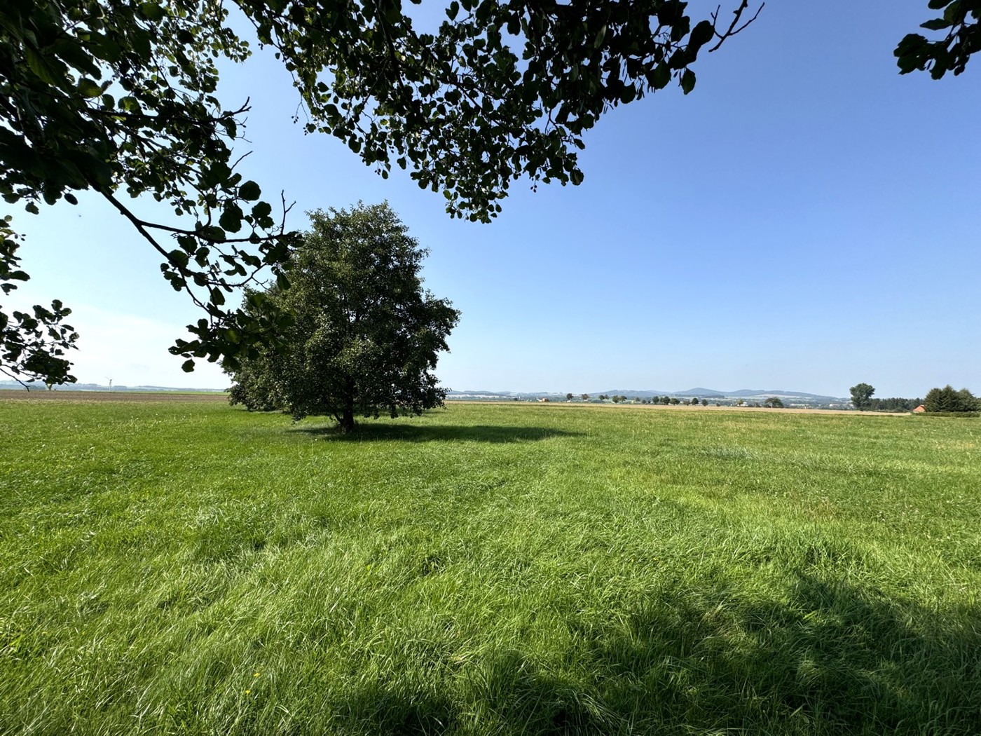 Blick auf die Wiesen