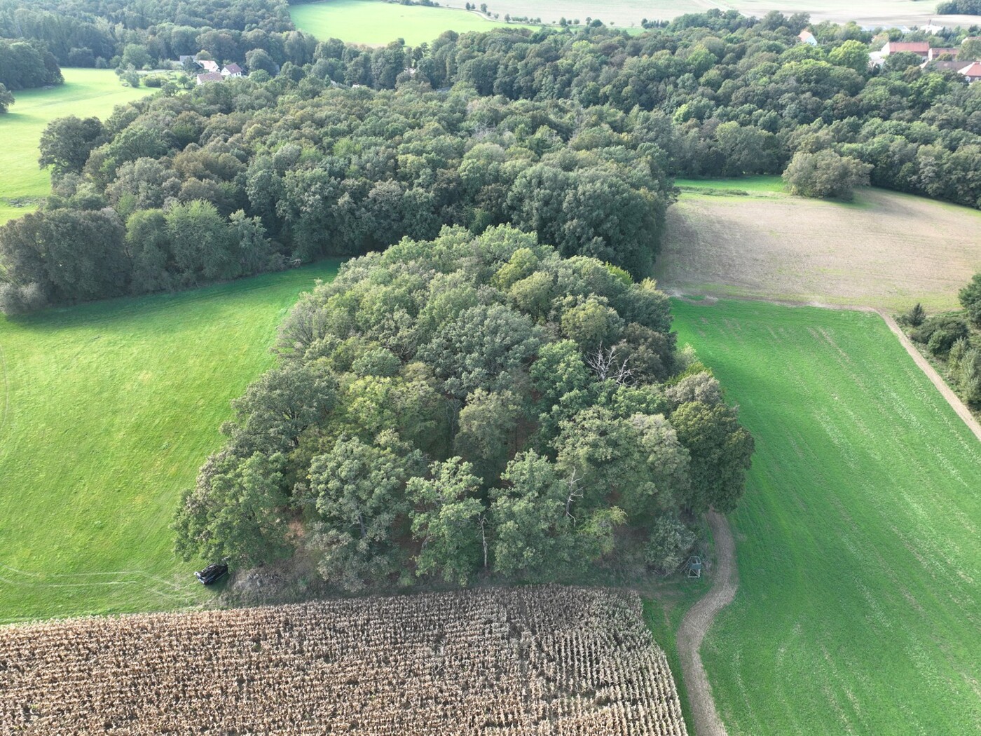 Luftaufnahme - Blick Richtung Westen