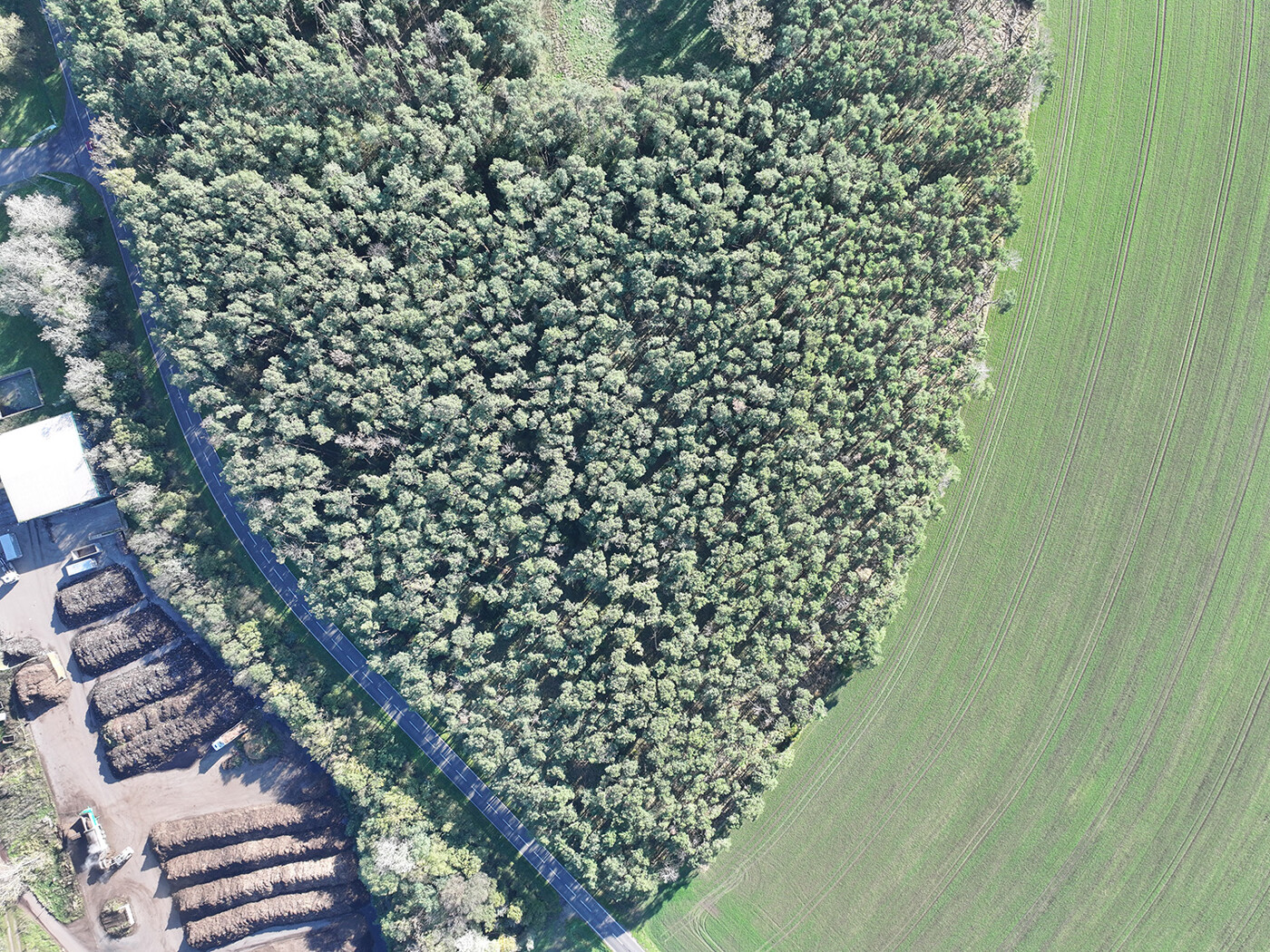 Blick von Oben