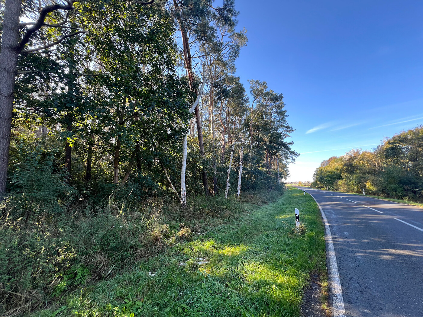 Blick von der öffentlichen Straße