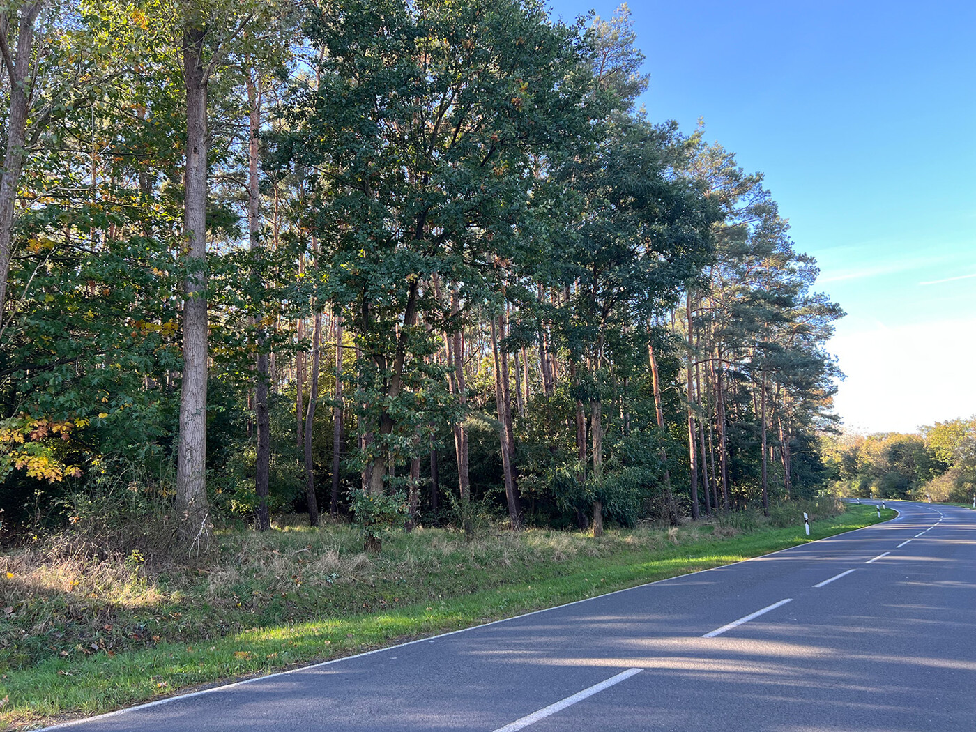 Blick von der Straße - nördliche Grenze