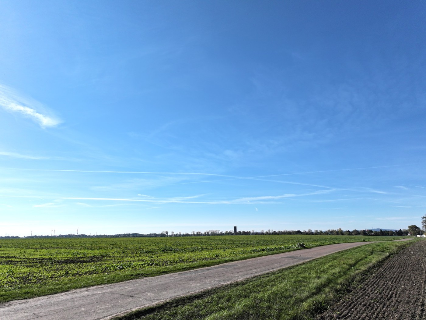 Blick entlang des Wirtschaftsweges