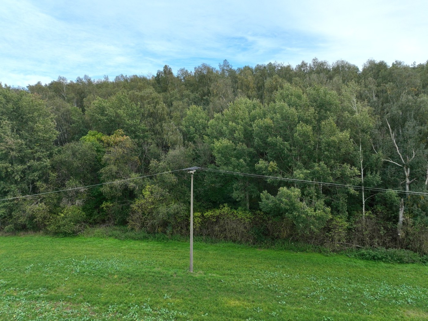 Luftaufnahme - Blick auf den Waldrand