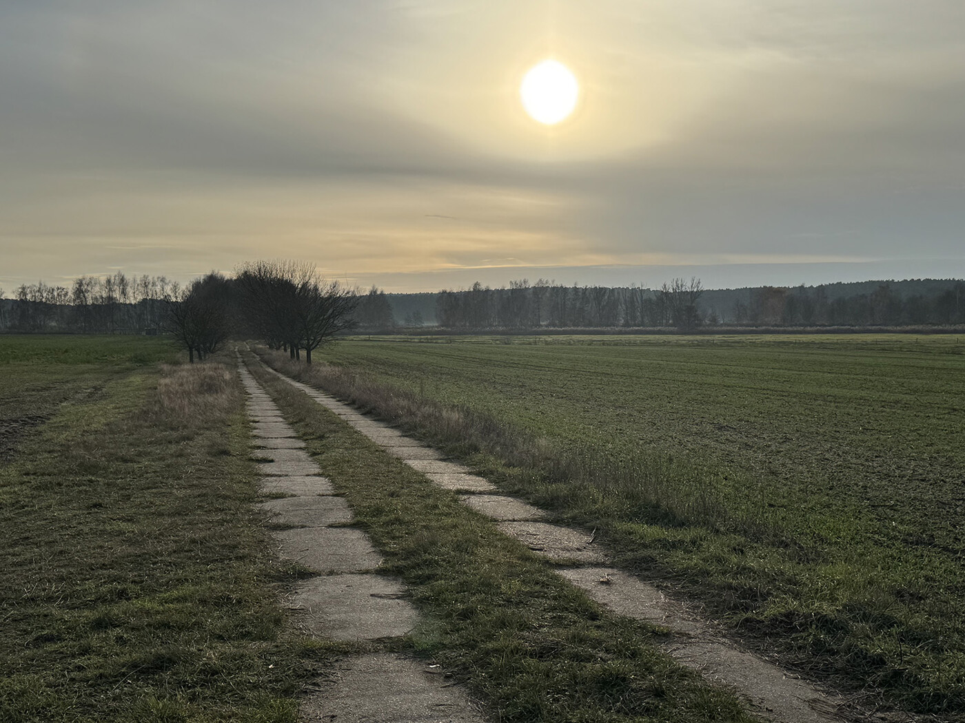 Blick nach Süden am Wirtschaftsweg von F. 164