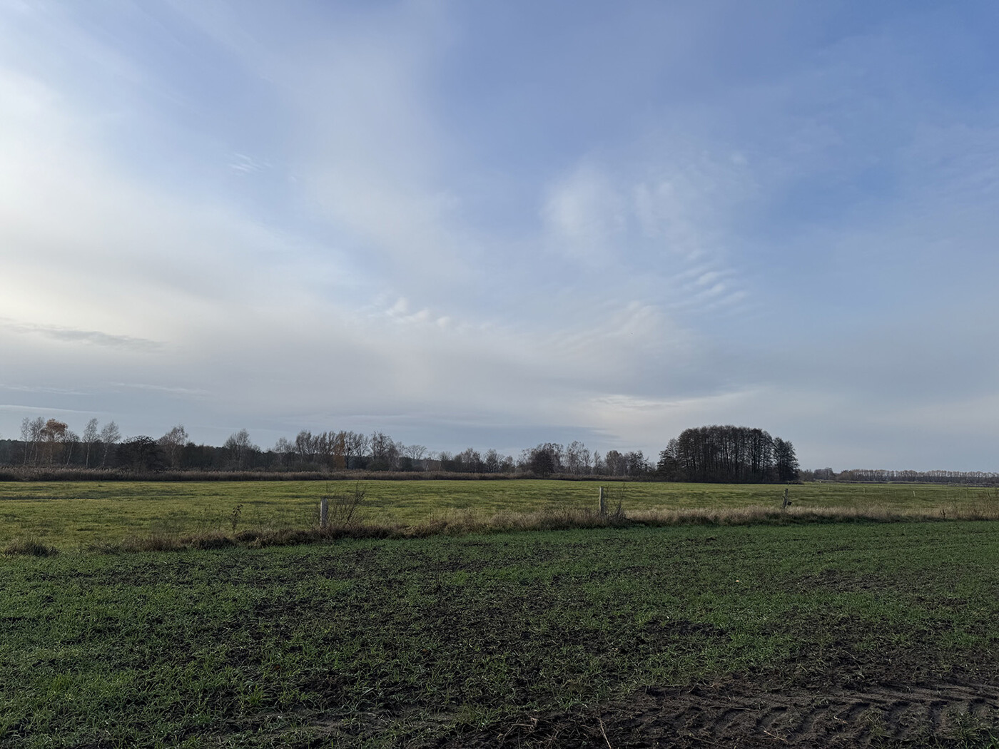 Blick über die Flächen