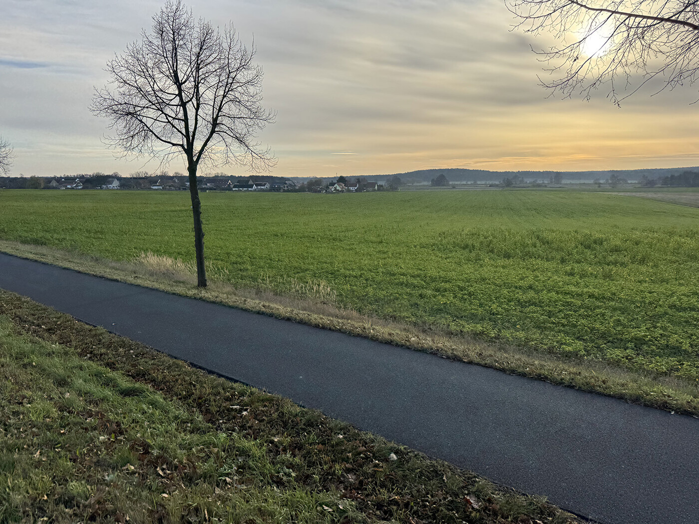 Straßenansicht nach Süden auf F. 296