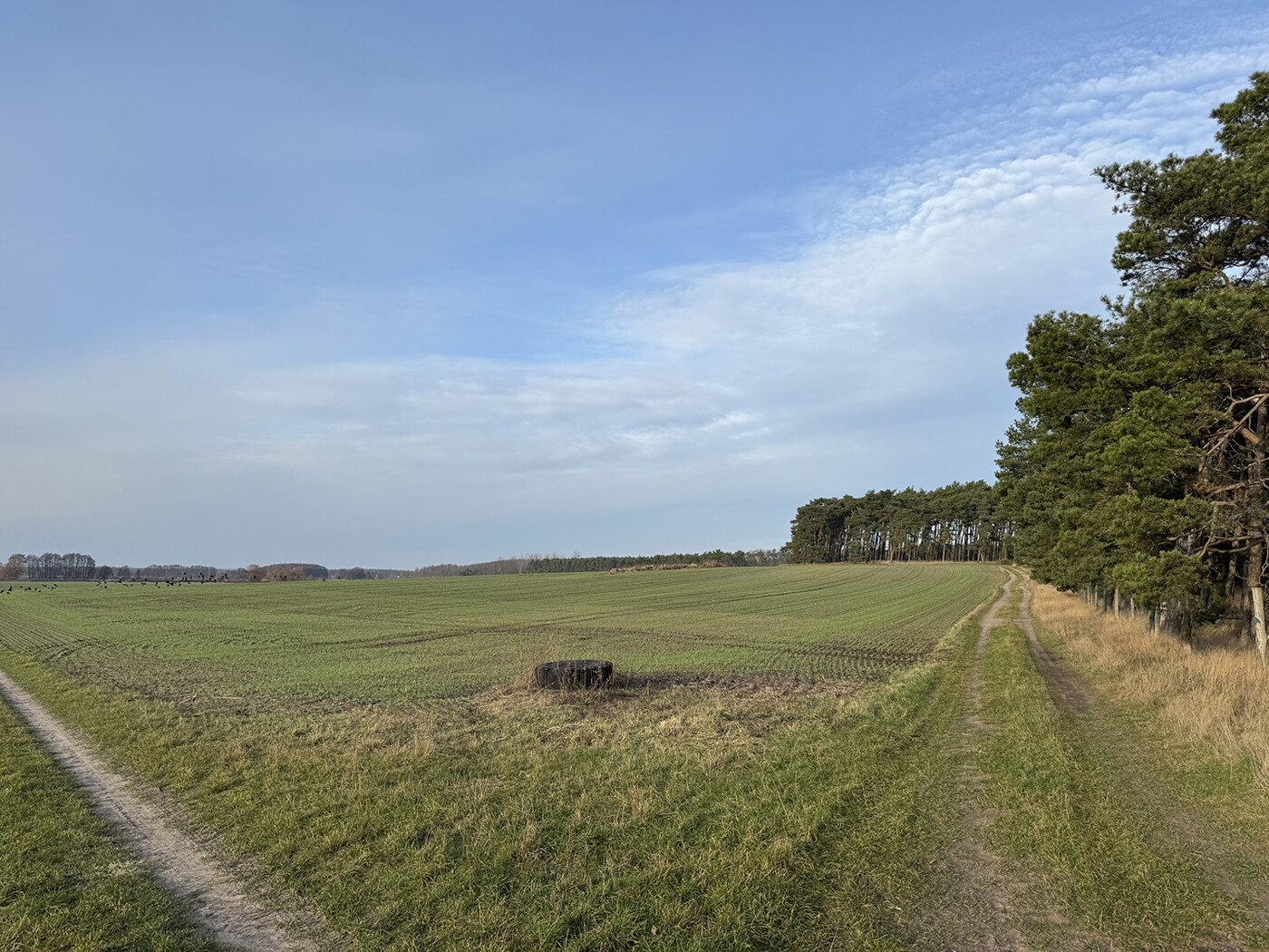 Blick nach Norden auf F.6