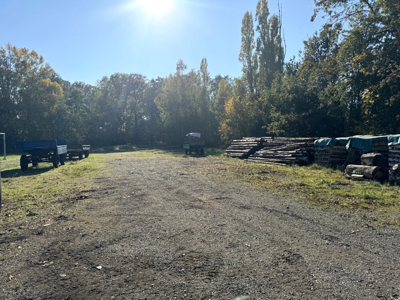 Fläche