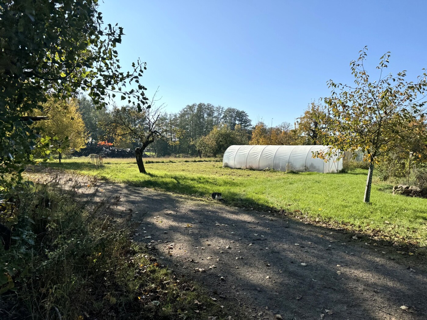 Grundstück