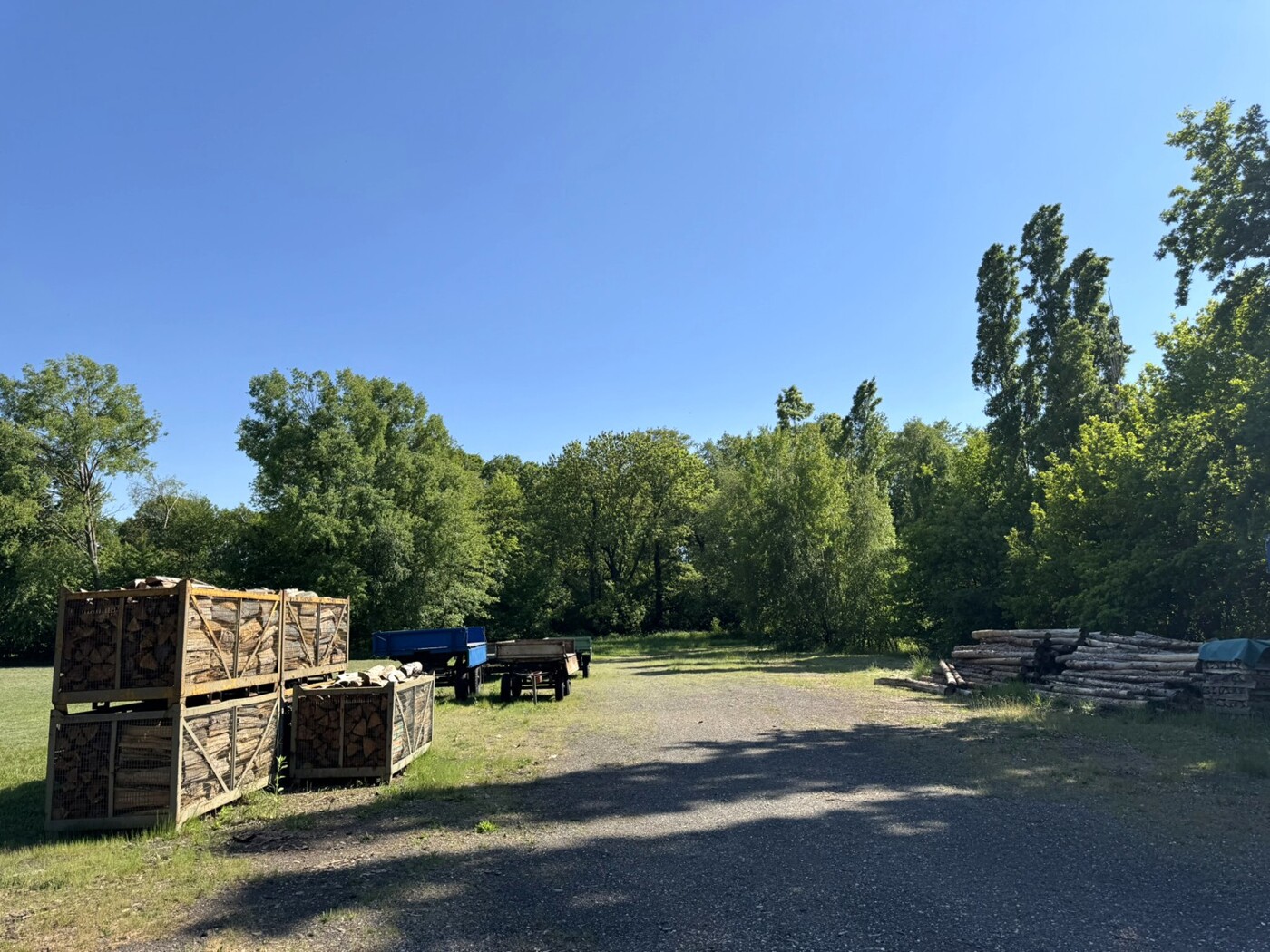 Fläche