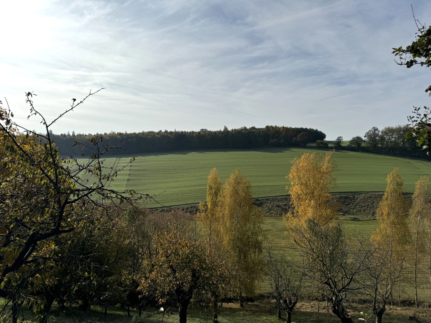 Blick von der Straße Richtung Flurstück