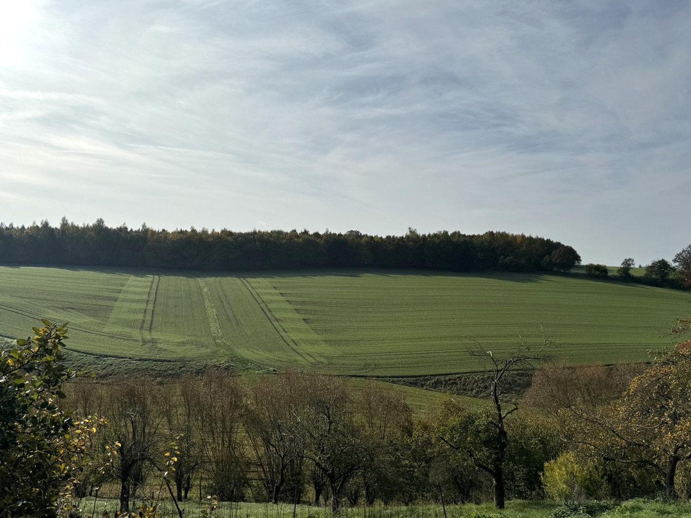 Blick von der Straße Richtung Flurstück