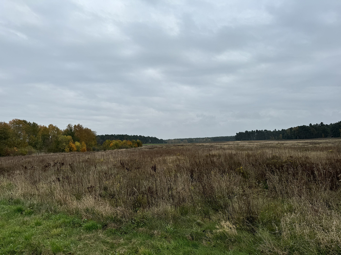 Blick über das westl. Agrarland 