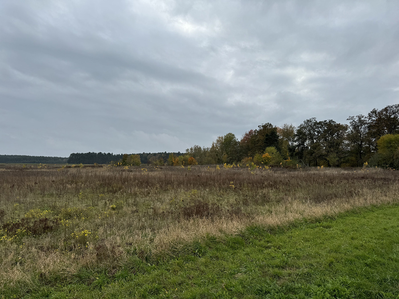 Blick über das Agrarland - Richtung Westen 