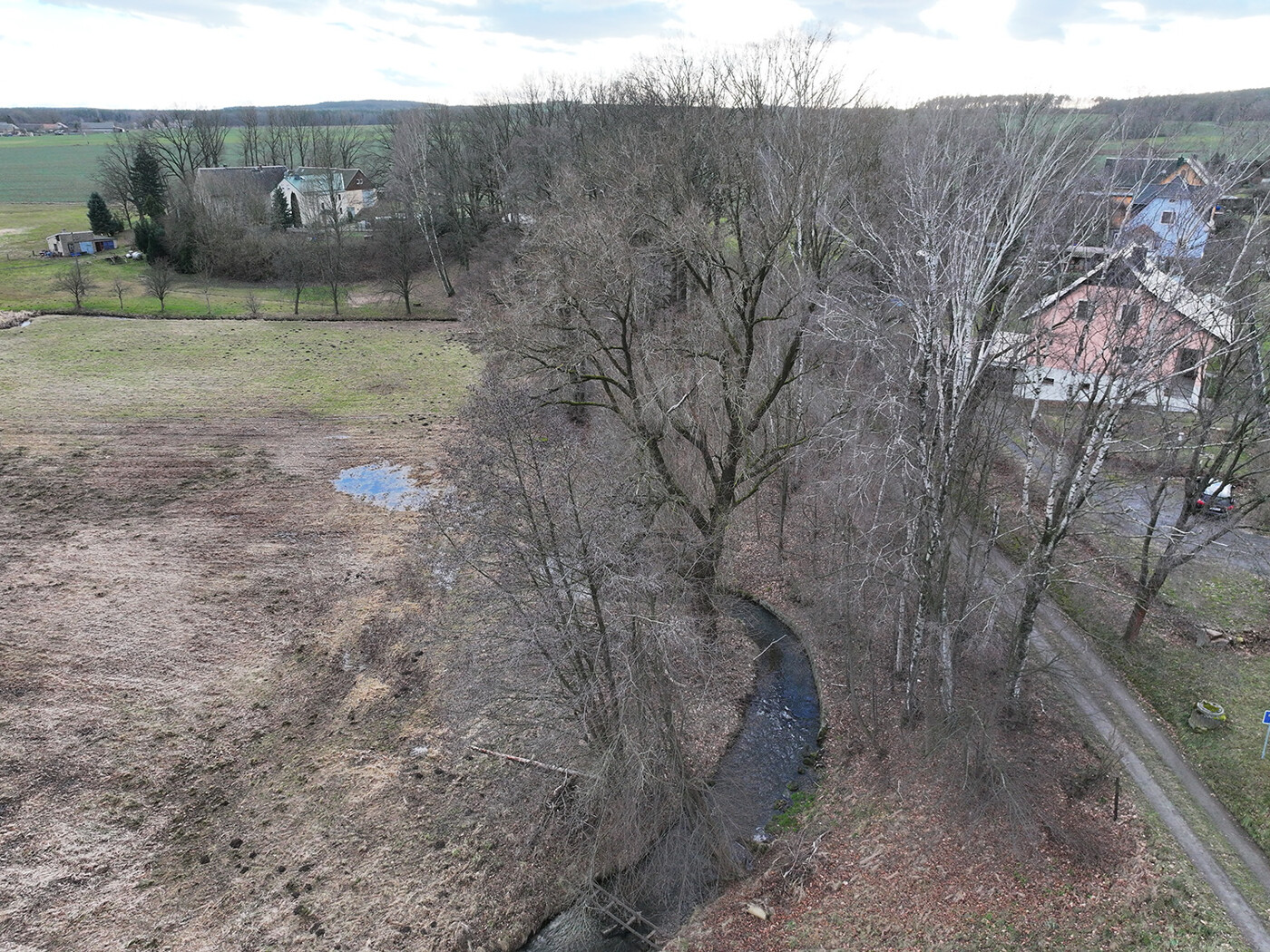 Blick auf den Baumbestand