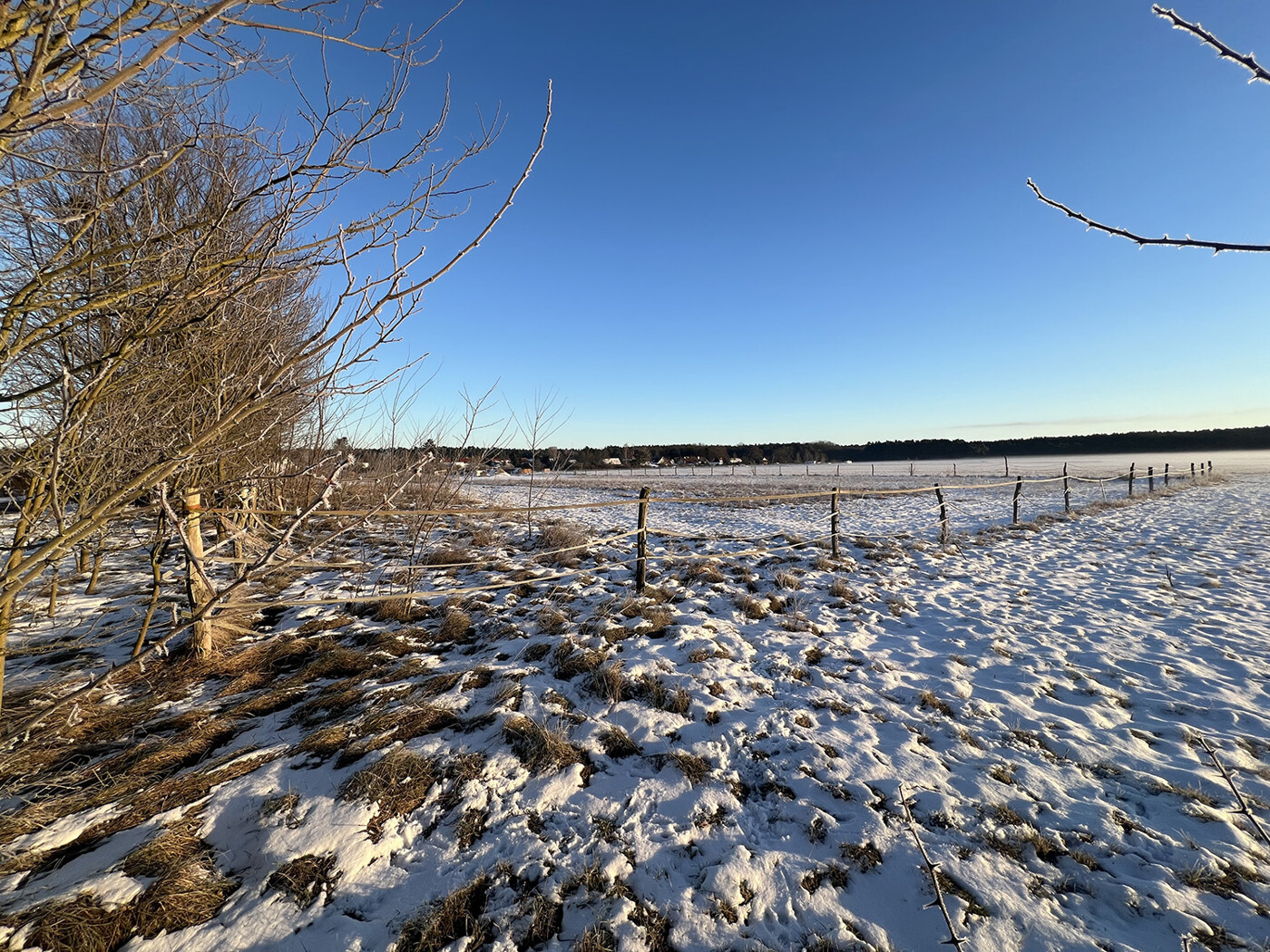 Blick von der Straße Richtung Süd-Osten