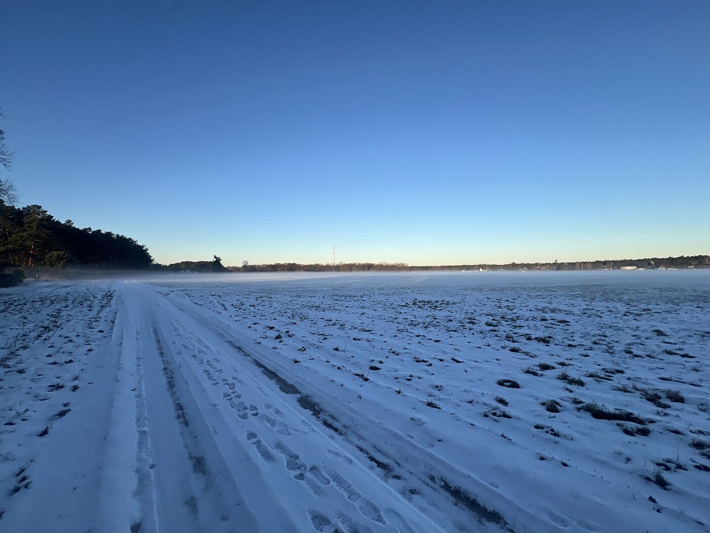 Blick entlang des Wirtschaftswegs Richtung Westen