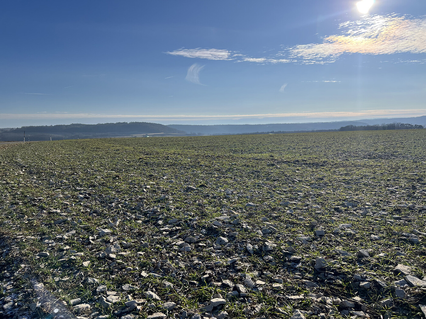 Blick über den Acker Richtung Süden