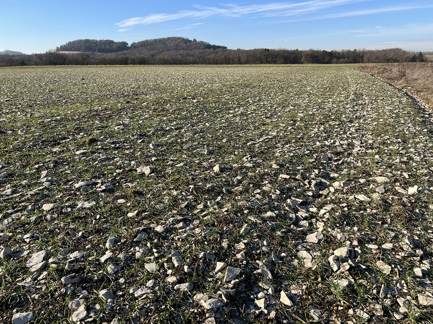 Blick Richtung Westen