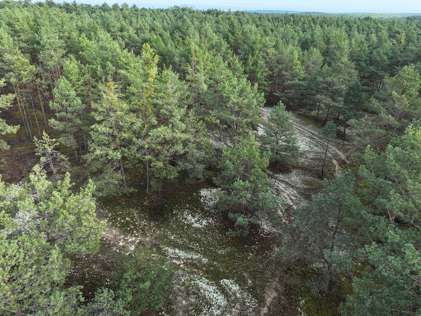 Blick auf den nördlichen Teil