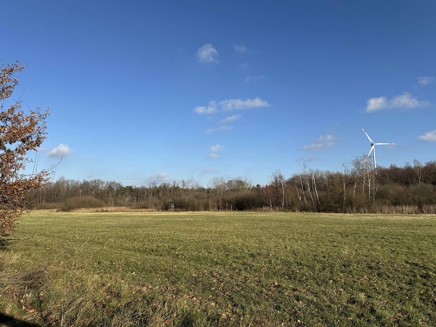 Blick über das Grünland Richtung Nord-Osten