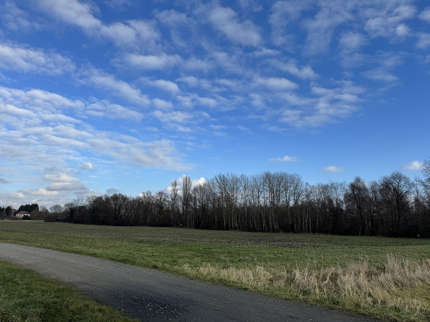 Blick auf den Acker