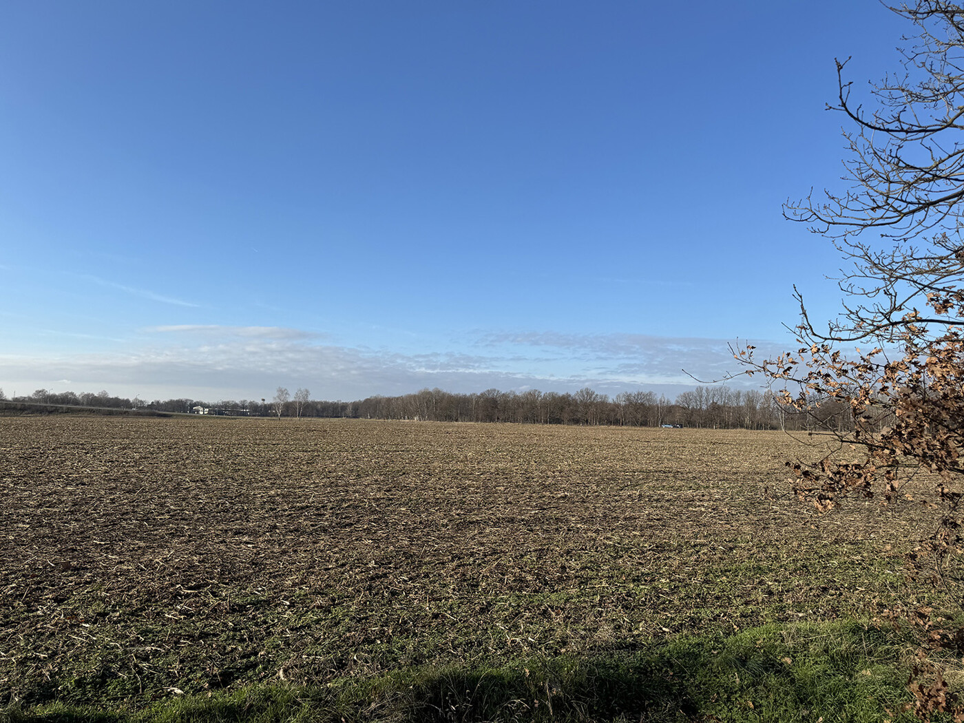 Blick über den Acker Richtung Westen