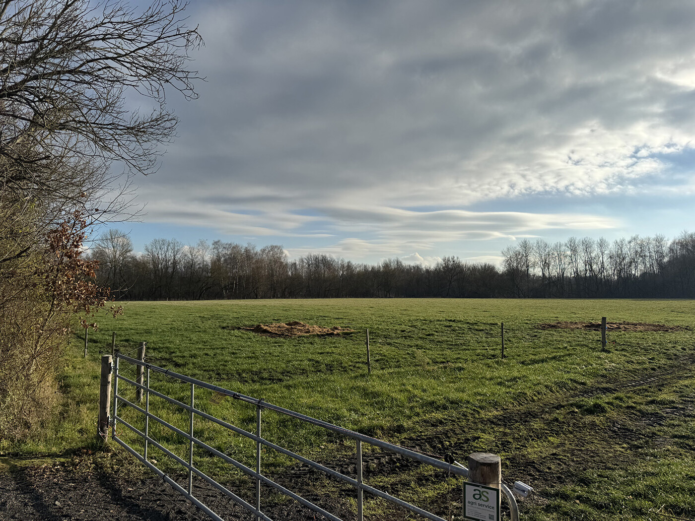 Blick auf die Flächen