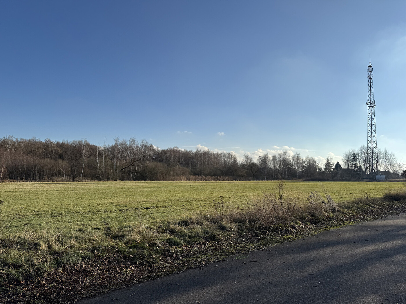 Blick über das Grünland Richtung Süd-Osten