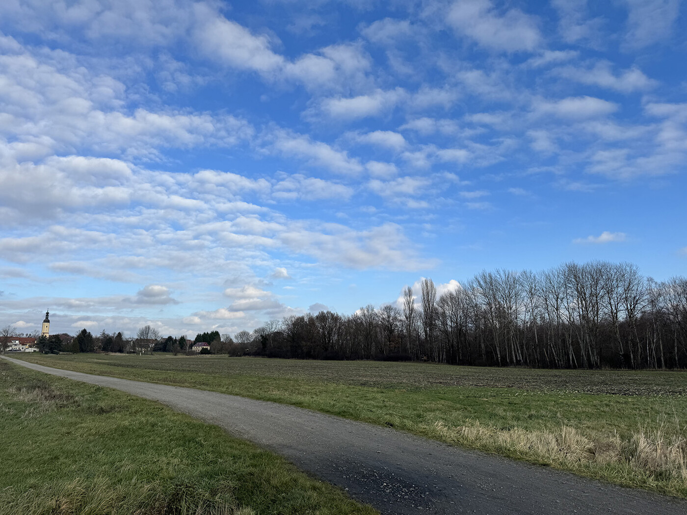 Blick auf den Acker und Weg