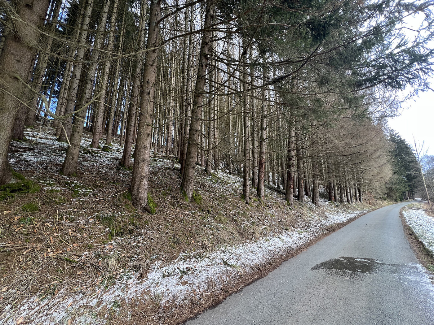 Blick von der Straße Richtung Osten