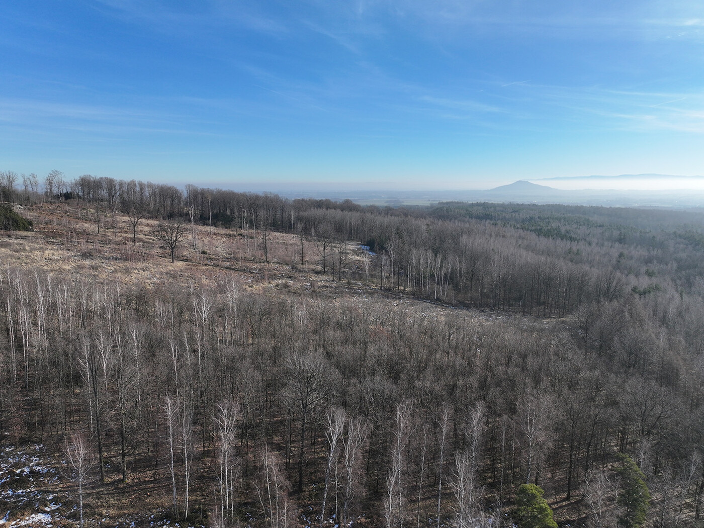 Blick nach Landeskrone