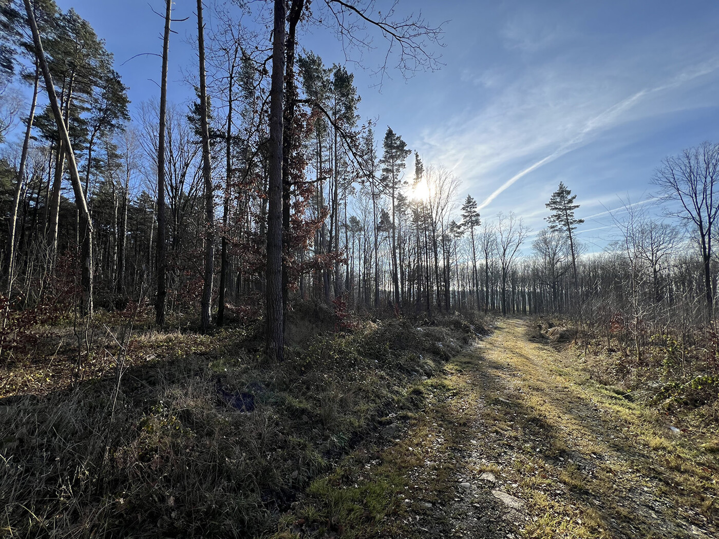 Blick nach Süden