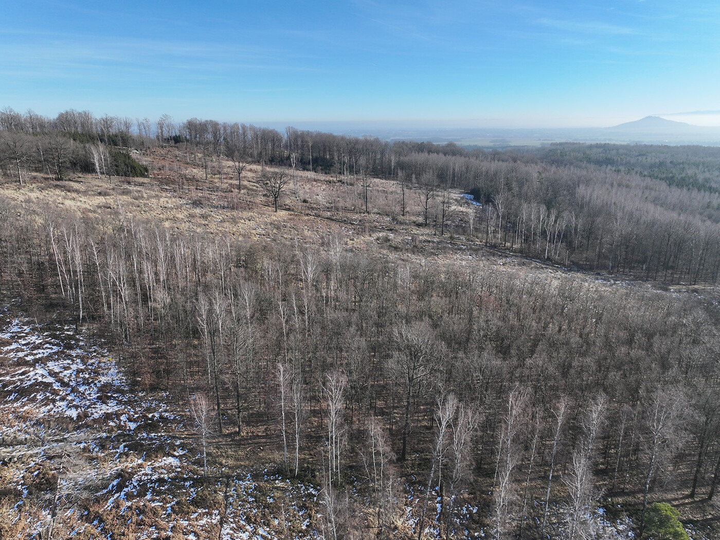 Blick auf den Bestand 