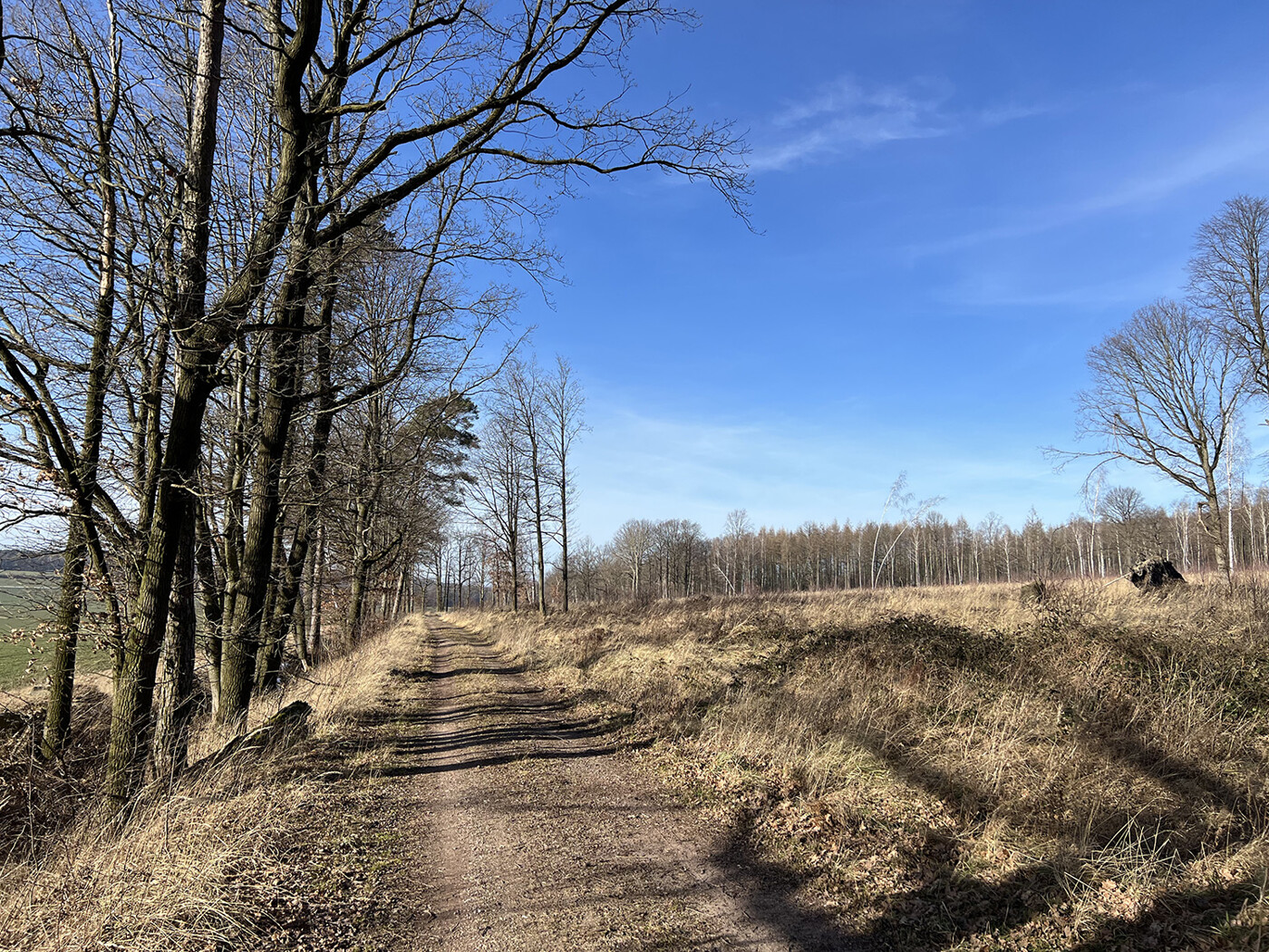 Wirtschaftweg Blick nach Westen