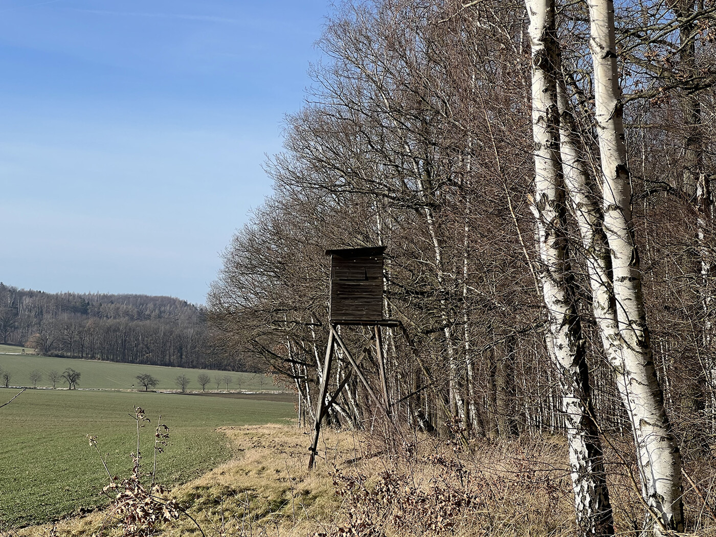 Jagdstand am Waldrand