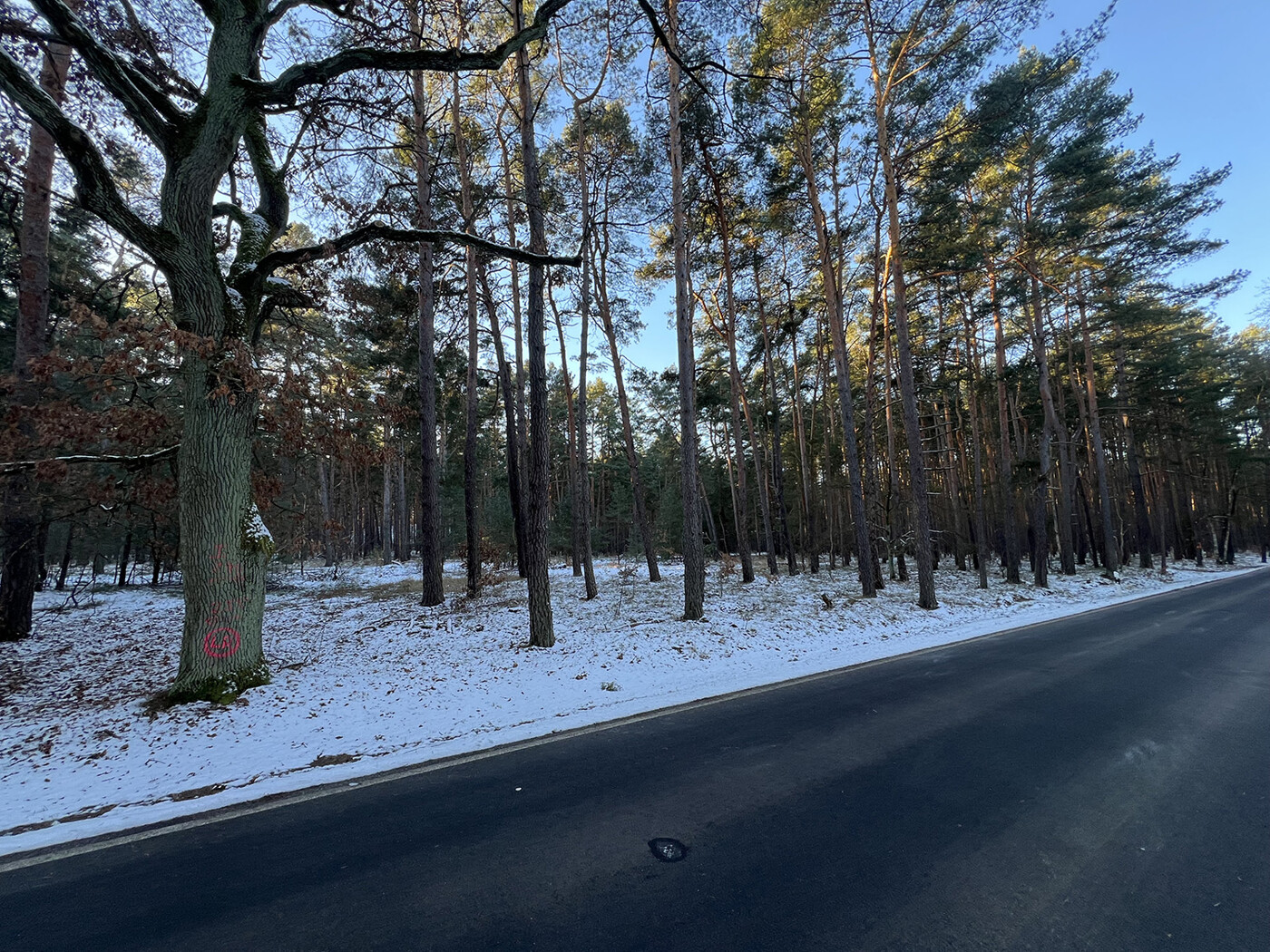 Straßenansicht Richtung Süd-Westen