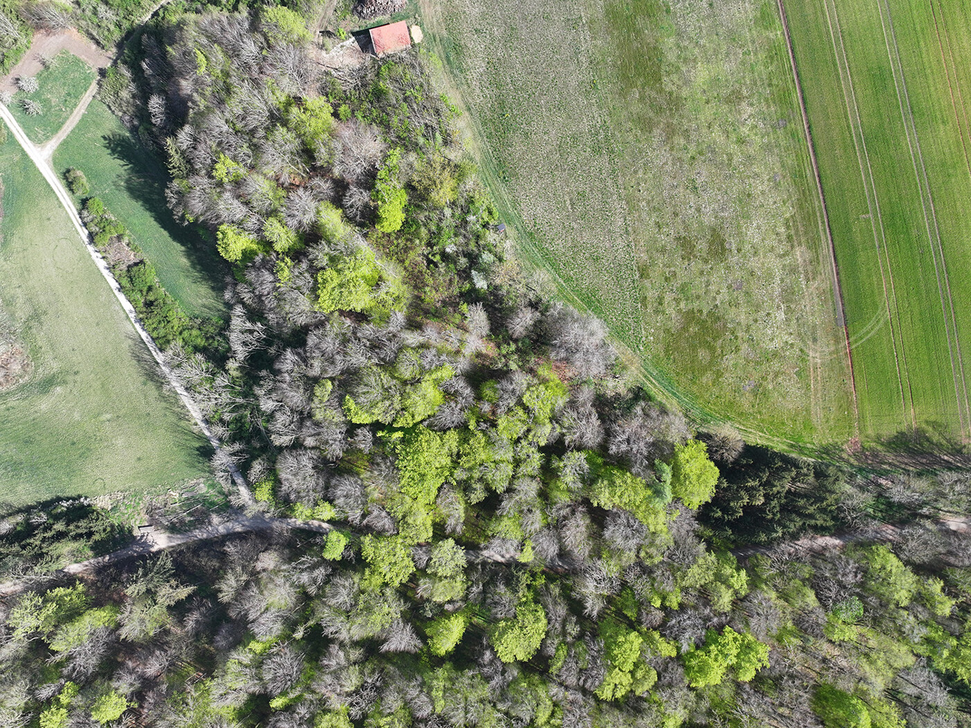 Blick von Oben