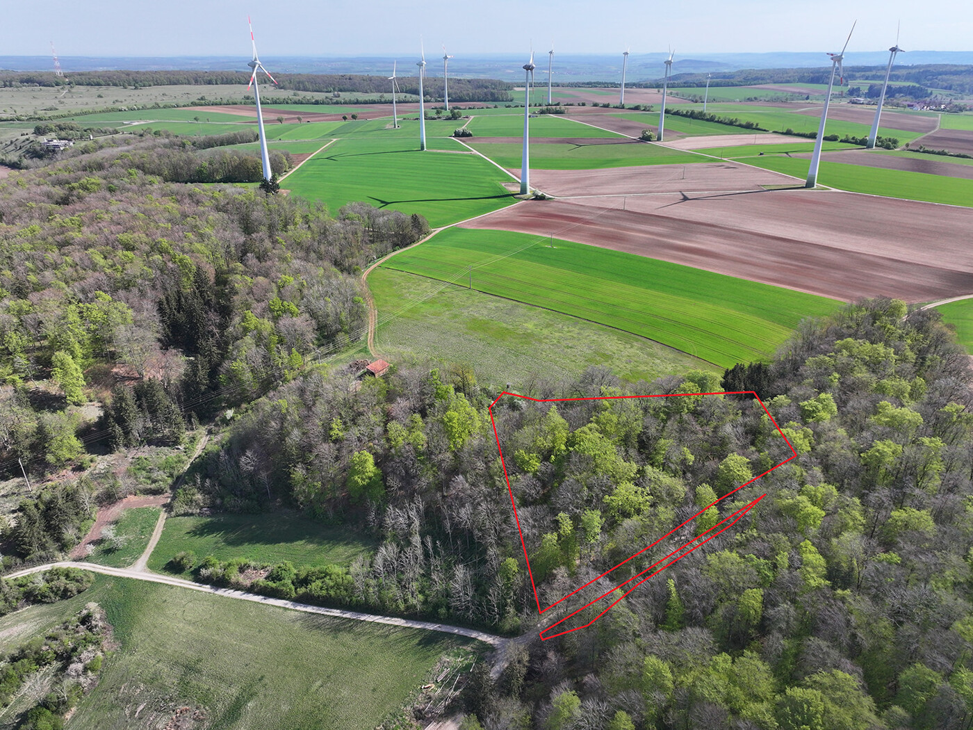 Blick Richtung Osten