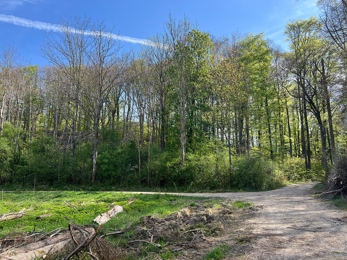 Blick vom Wirtschaftsweg im Westen