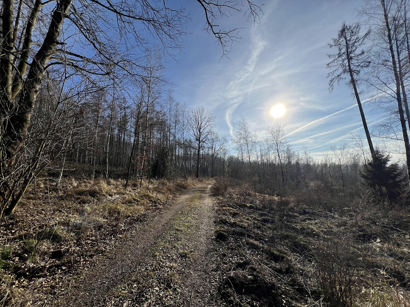 Wirtschafsweg Blick nach Süden