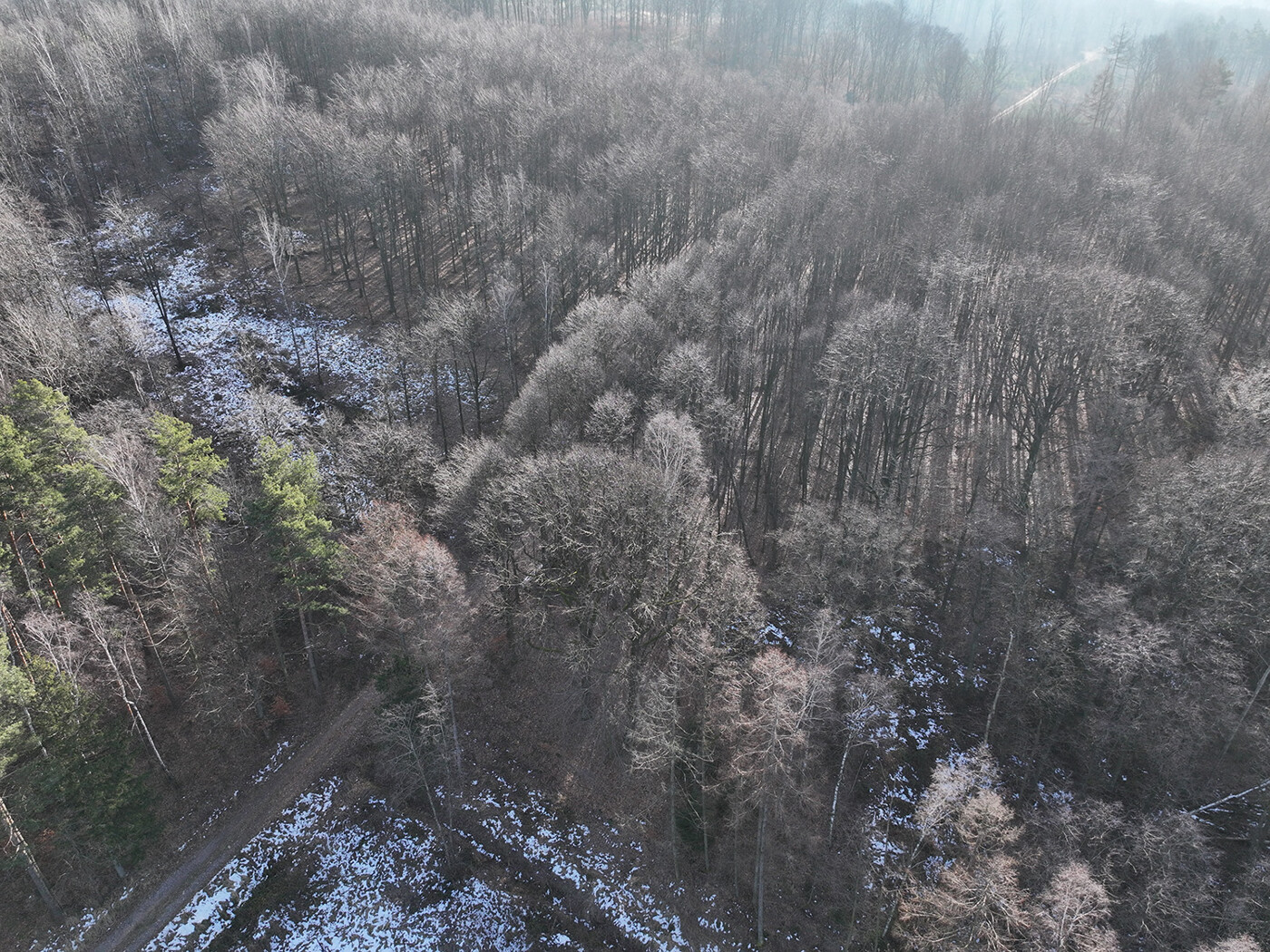 Blick nach Süd-Osten