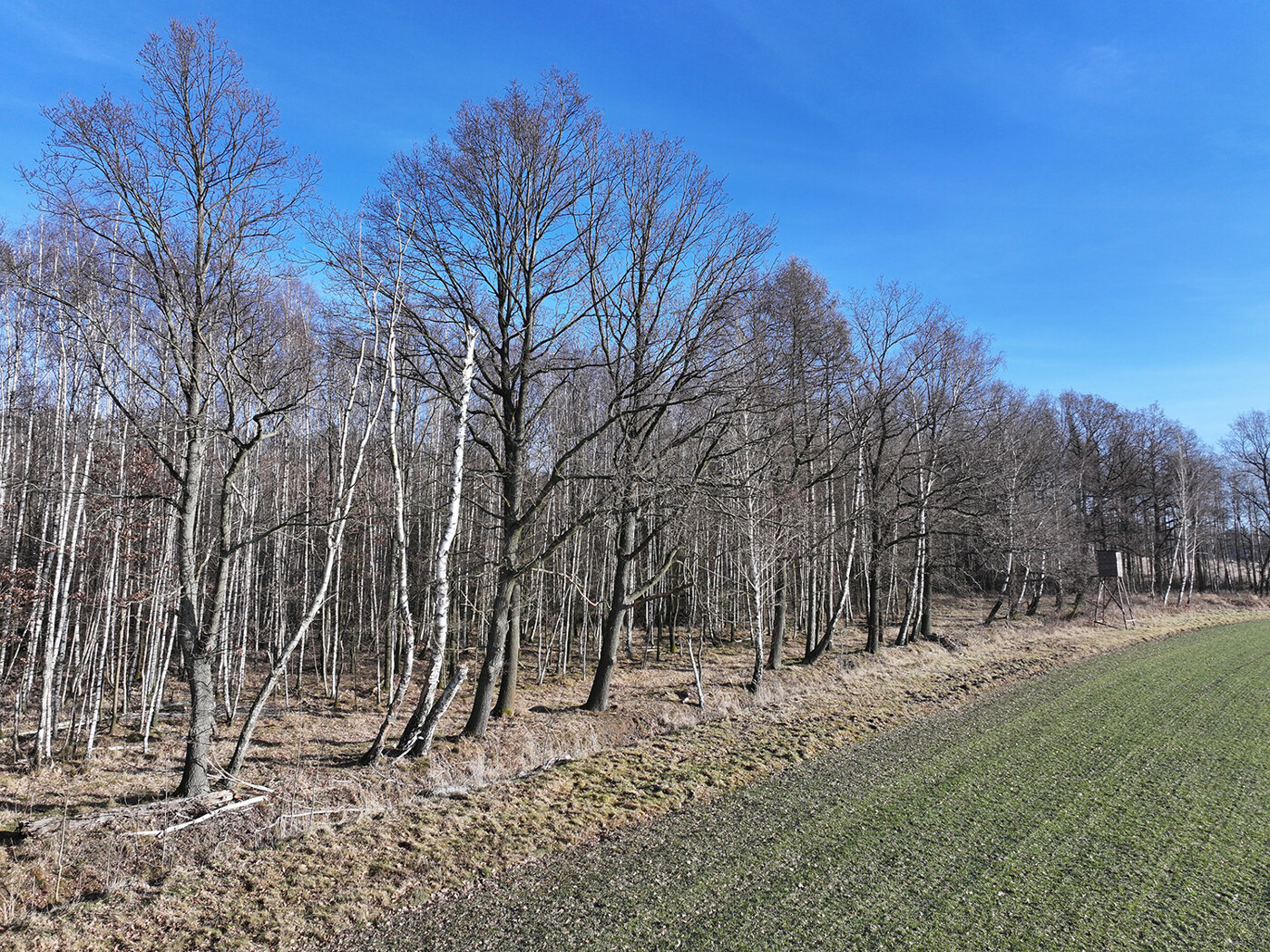 Blick nach Süd-Osten