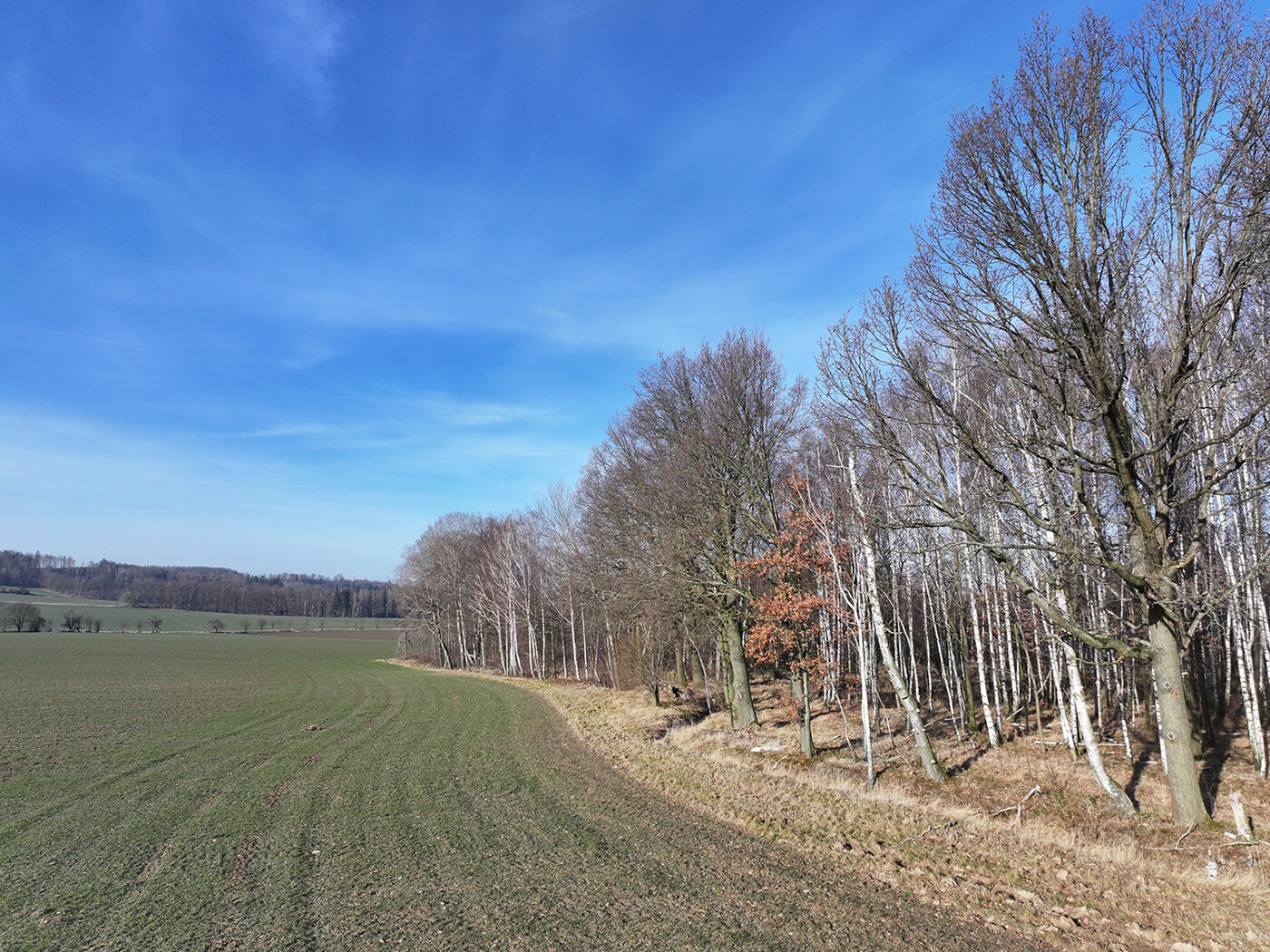 Blick nach Nord-Westen