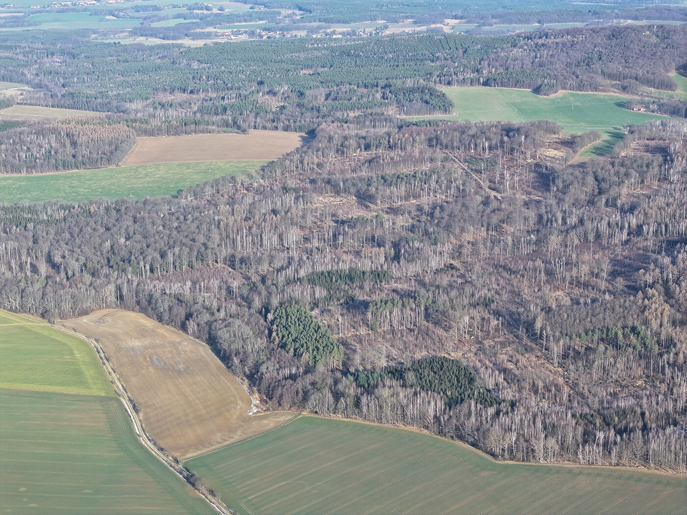 Blick nach Norden