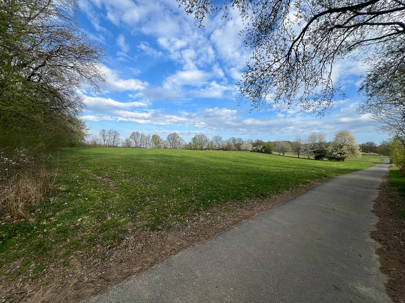 Blick vom Wirtschaftsweg , Flurstück