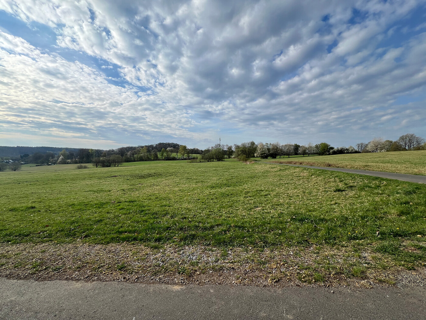 Blick vom Wirtschaftsweg über die Weide