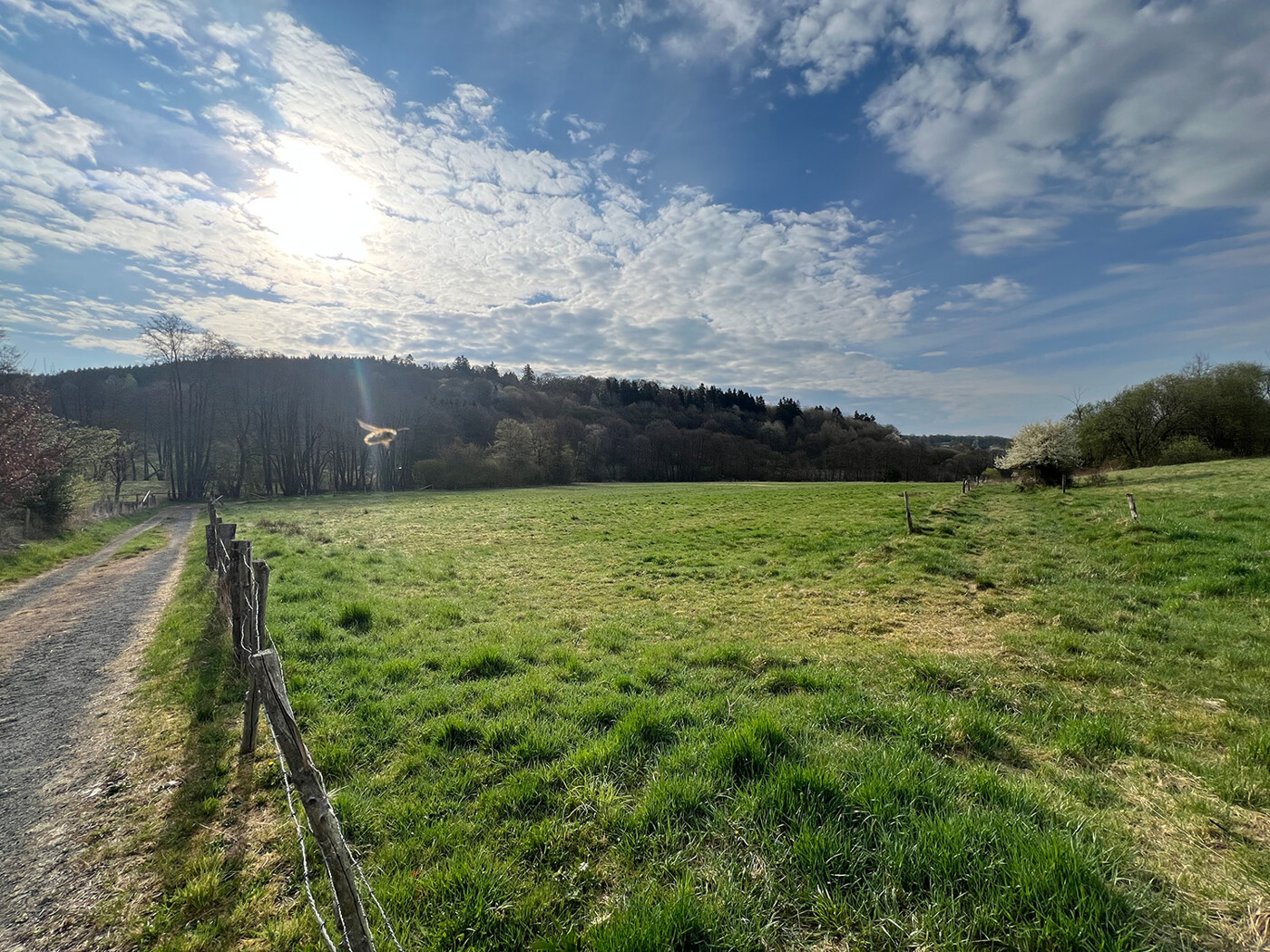 Blick Richtung Westen , Flurstück 6