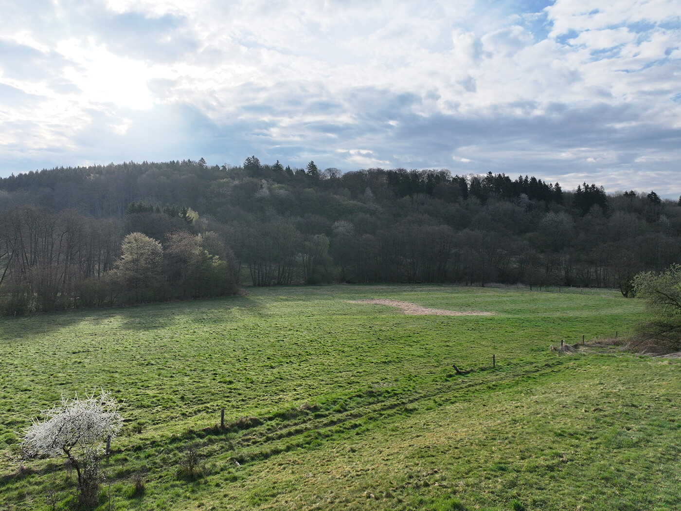 blick über das Grünland Flurstück 60